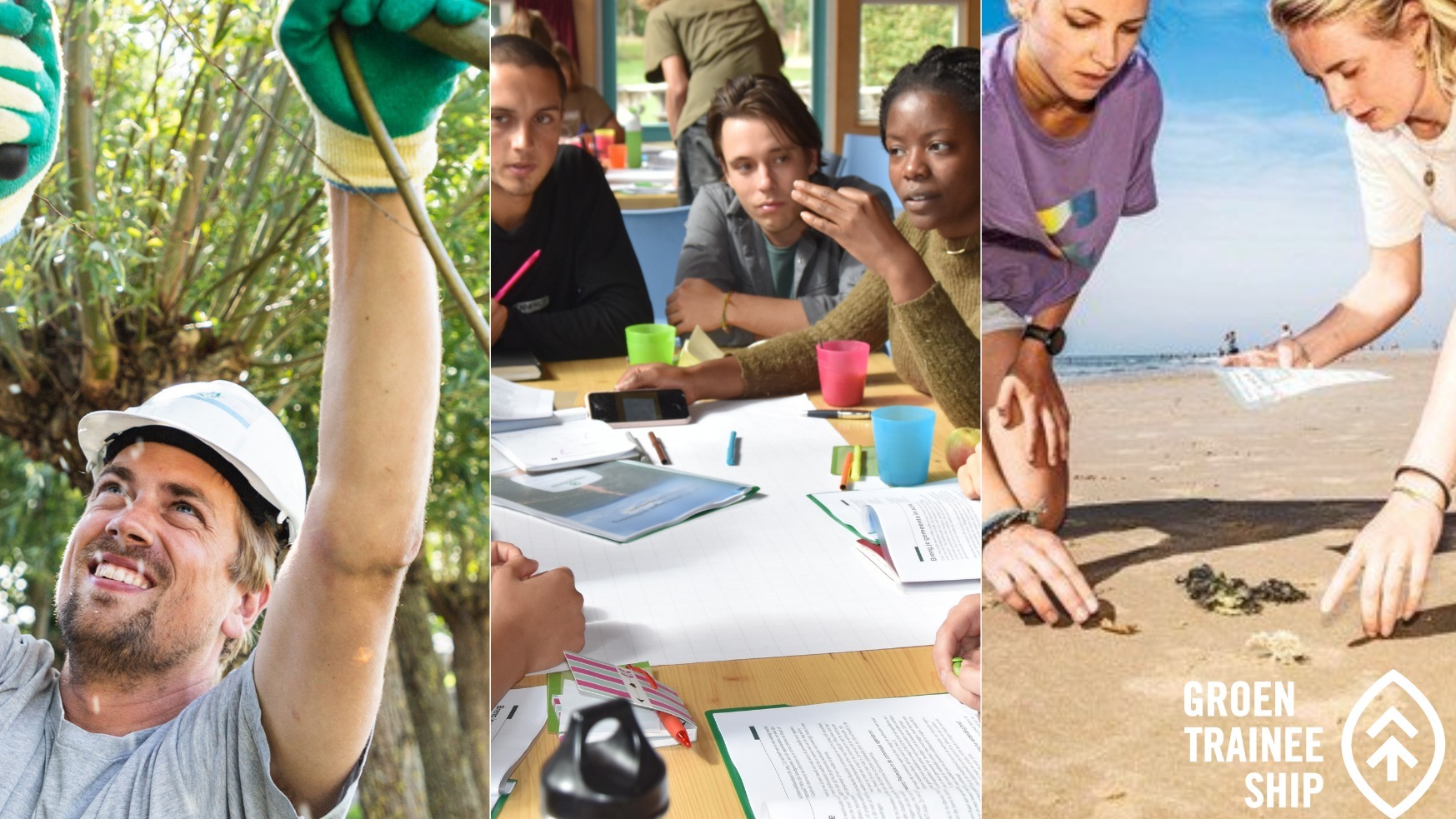 Foto van Groen Traineeship