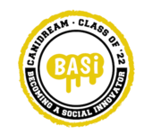 Logo BASI MDT