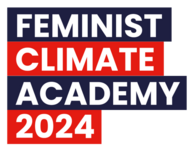 Logo MDT De Feminist Climate Academy