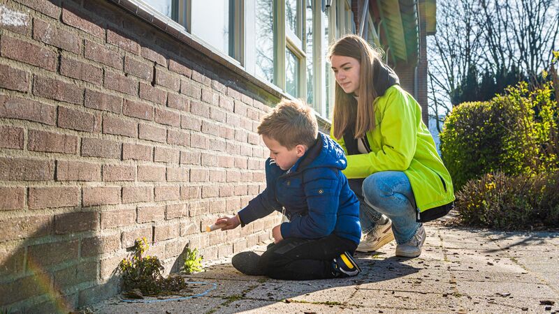 Foto van MDT Green Educators