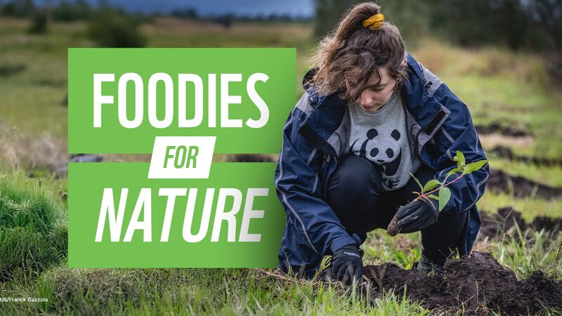 Foto van Foodies for Nature